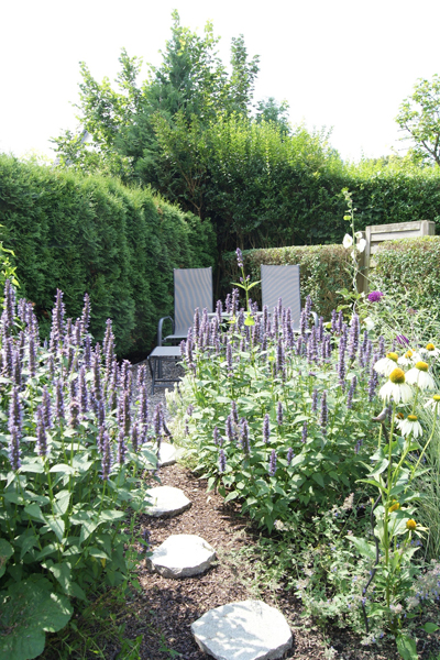 Stauden im Garten - Gartenplanung & Gartengestaltung Aachen